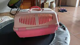 Pet cargo kucing