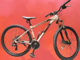 Sepeda MTB Polygon Cascade 3
