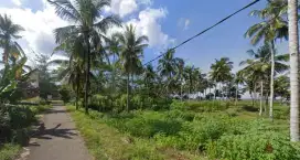 Dijual Tanah kebun subur, cocok untuk villa