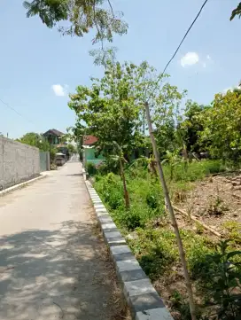 Dekat puskesmas Masaran Sragen