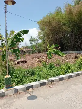 Pekarangan dekat RS PKU Muhammadiyah Sragen