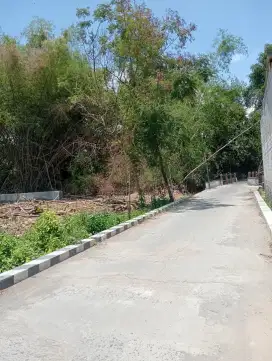 Pekarangan Dekat SPBU krikilan Masaran