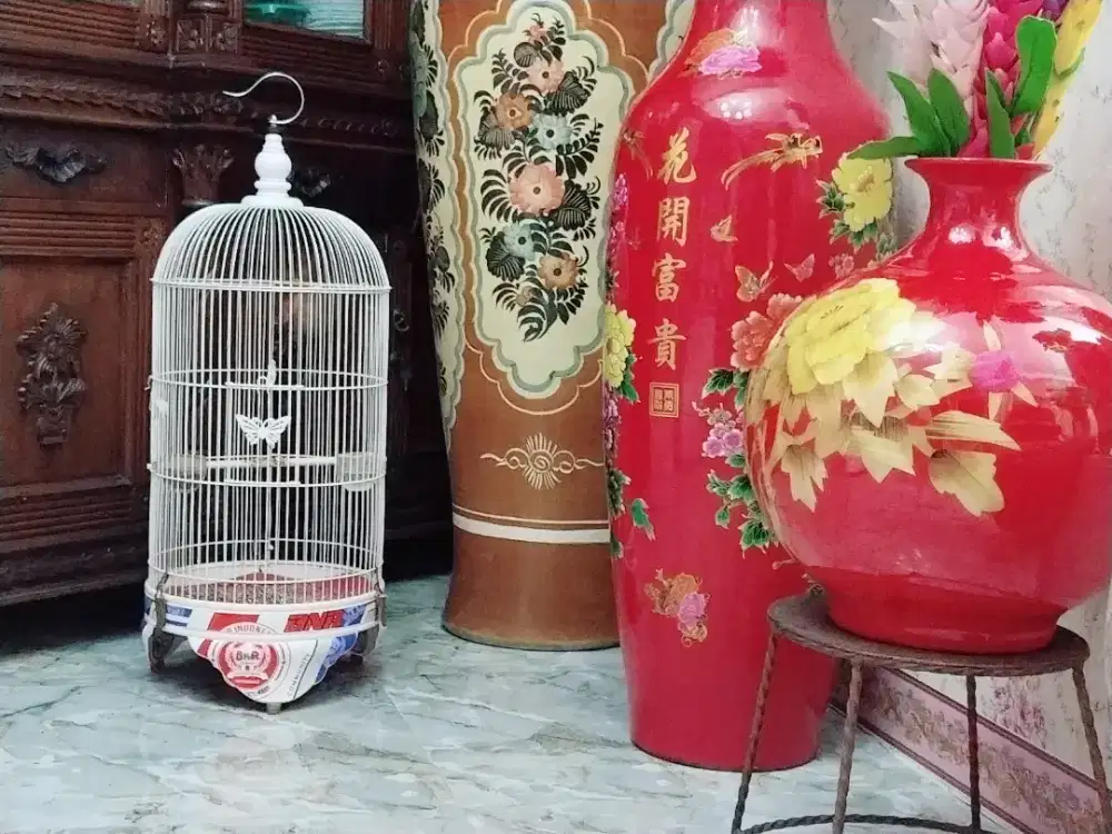 Redsiskin dobledilute gacoor RING