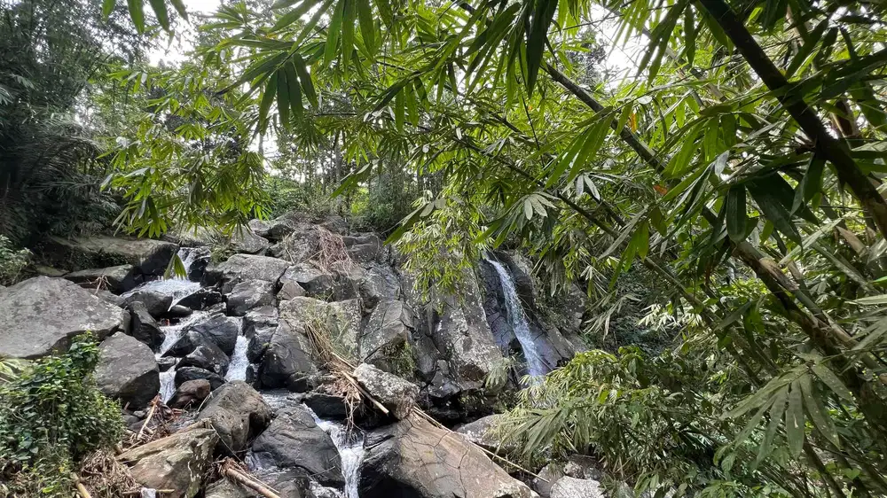 tanah dengan view air terjun langka di bali cocok untuk villa // investasi jangka panjang