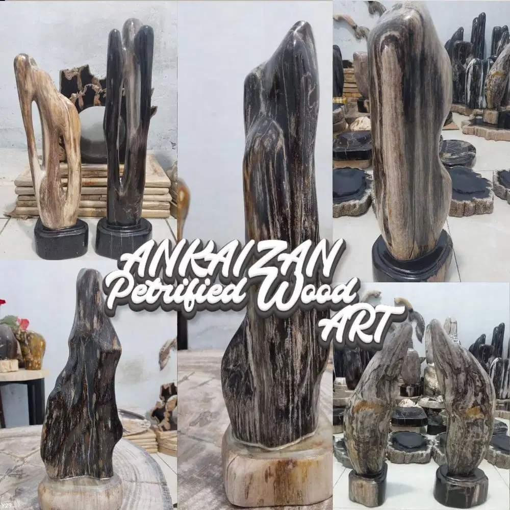 Pajangan Fosil Kayu /petified Wood
