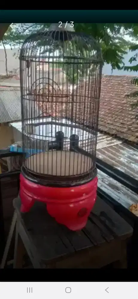 Jual Kandang BnR tebok kayu murah