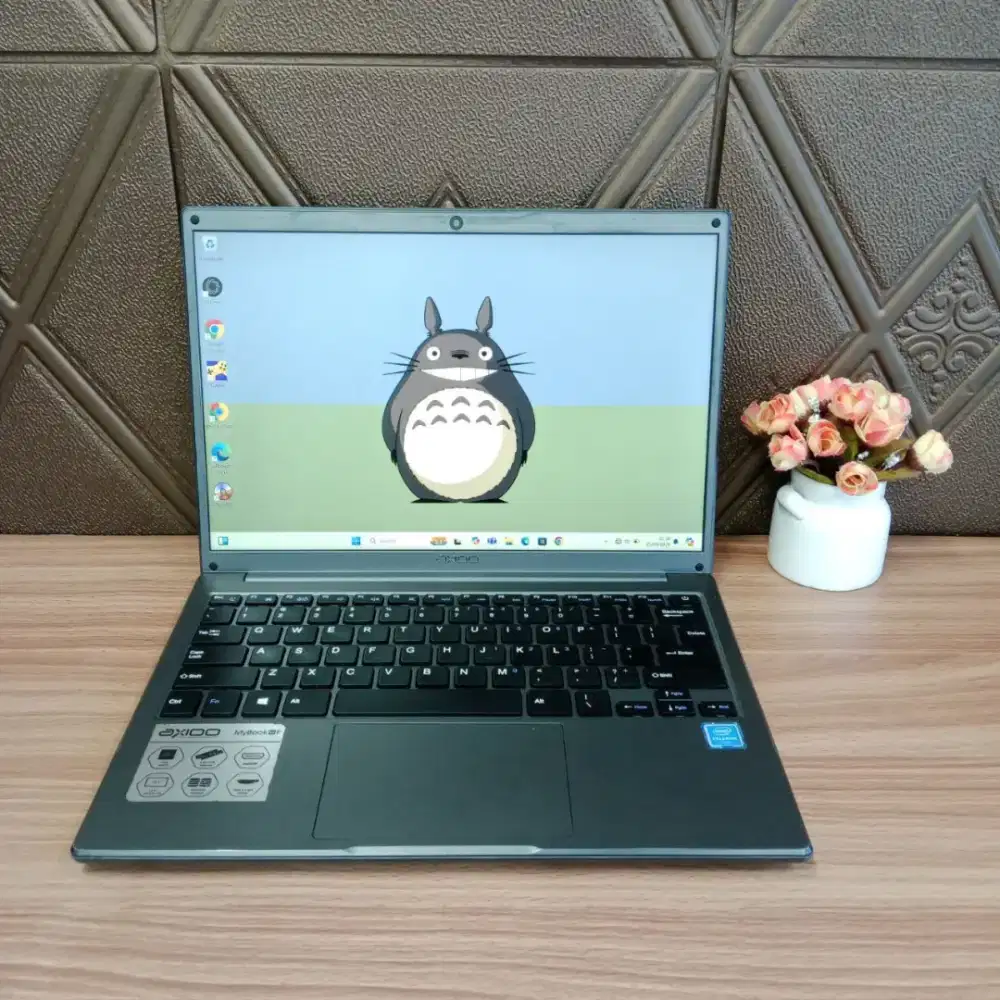 LAPTOP AXIOO MYBOOK 14F INTEL N4020 RAM6GB SSD128GB 13,3INCH WUXGA IPS