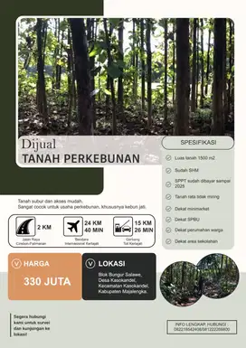 JUAL TANAH KEBUN DESA KASOKANDEL MAJALENGKA