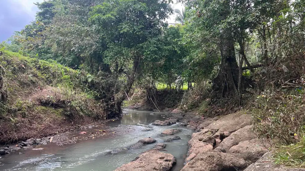 Tanah kebun los sungai view sawah cocok untuk villa komersil