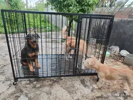 Kandang anjing besar