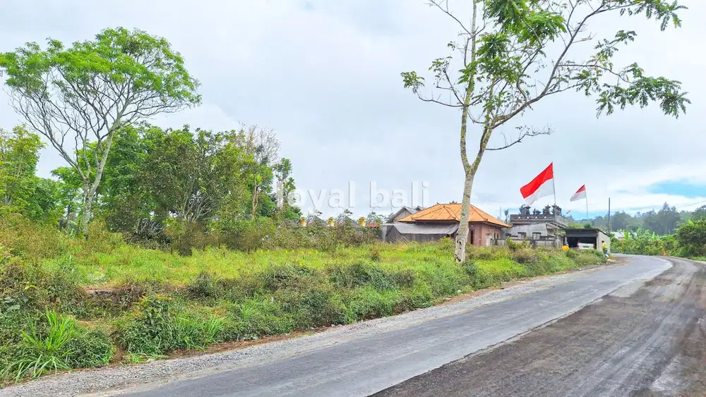 Tanah, 3.700m² Land with Strategic Location in Kintamani, Bali