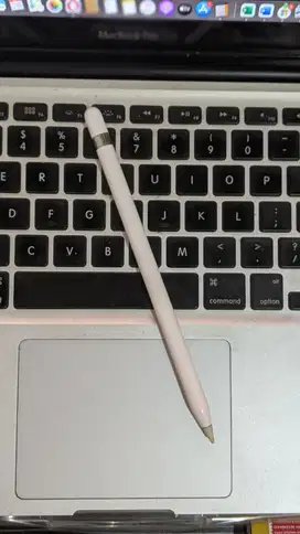 Apple Pencil Gen 1 Lightning