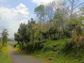 Tanah Kebun Karet Pinggir Jl Raya Nagrak Darangdan Purwakarta