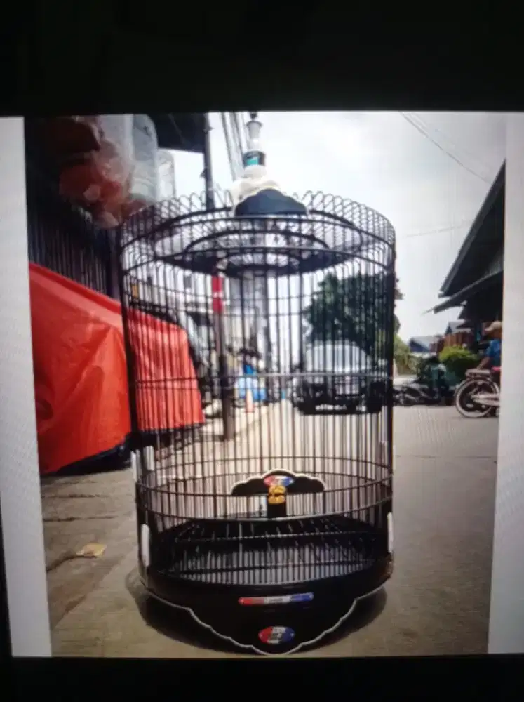 Kandang murai msh bagus