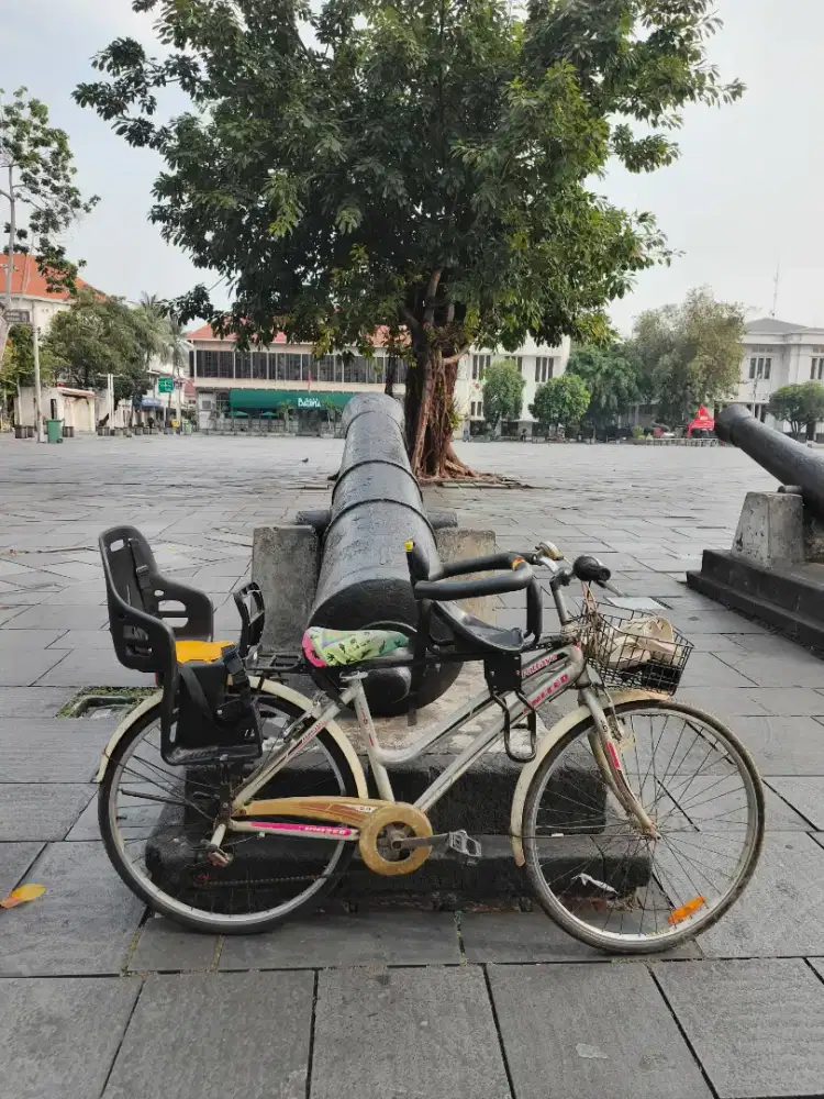 Sepeda pataya United (frame alloy)