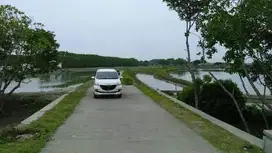 Dijual Tambak di Tambak Bulusan Karang Tengah Demak