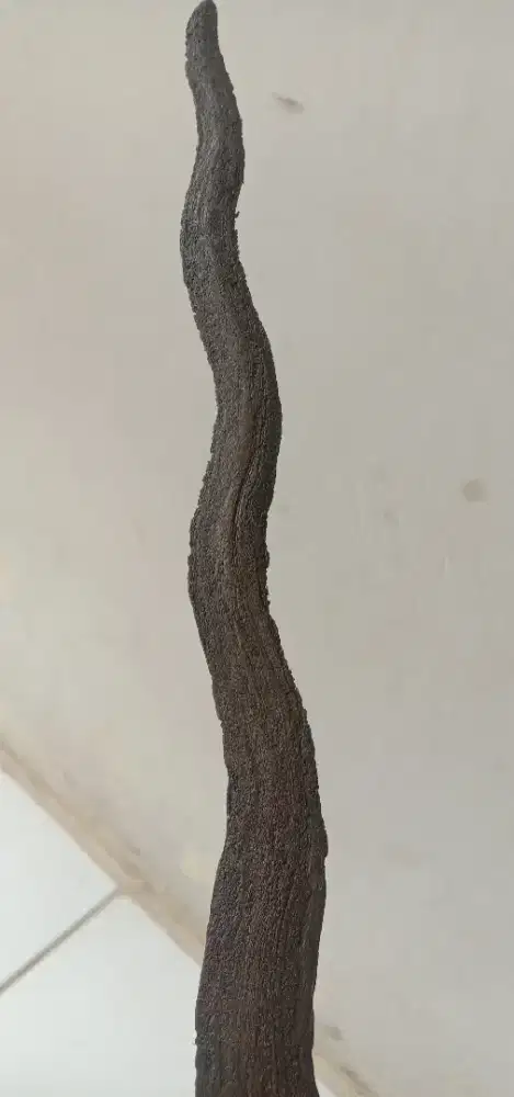 Keris Asli Sepuh