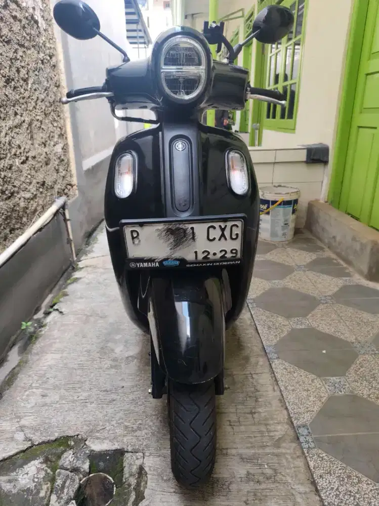 Fazio hitam 2024