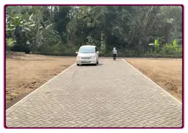 Di Area Pemda Sleman Tanah Mlati Jogja 100 Jt-an
