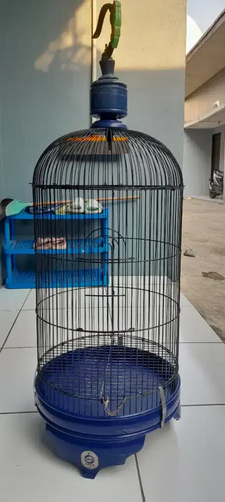 Pengen jadi kandang kotak no 3