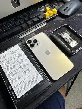 Iphone 13 pro max 128Gb Rsim ex inter