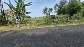 Tanah pinggir jalan 75 are di kaliakah jembrana
