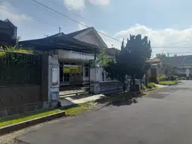 DISEWAKAN RUMAH DAERAH KOTA DI MOJOPAHIT KAB. JEMBER