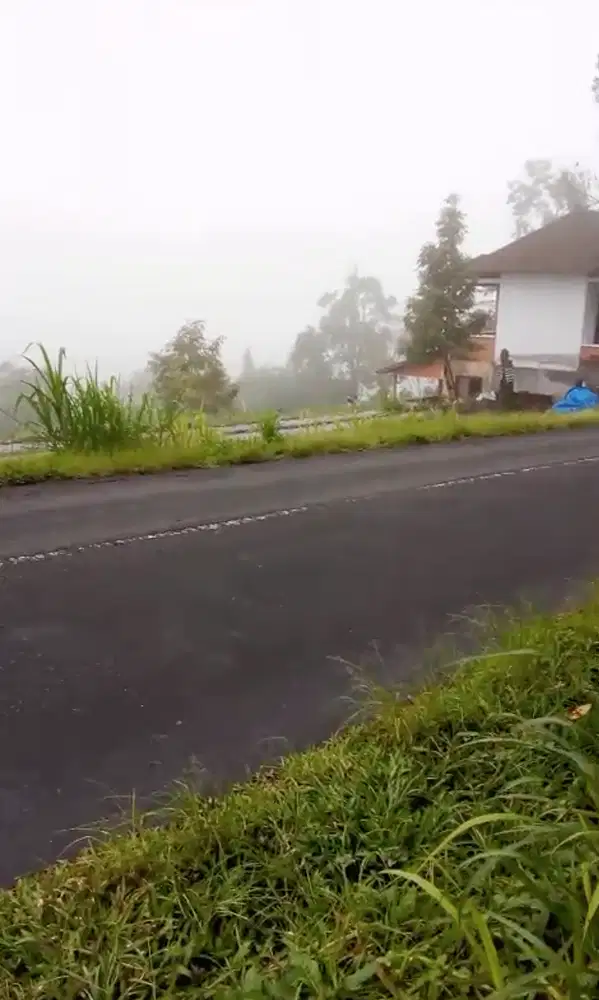 Land Freehold Main Road Kintamani Bali