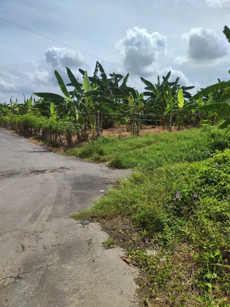 Dijual Tanah Kawasan Vila Jl Padang Galak - Sanur