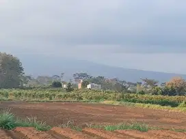 Tanah Merjosari Kota Malang Cocok Bangun Rumah