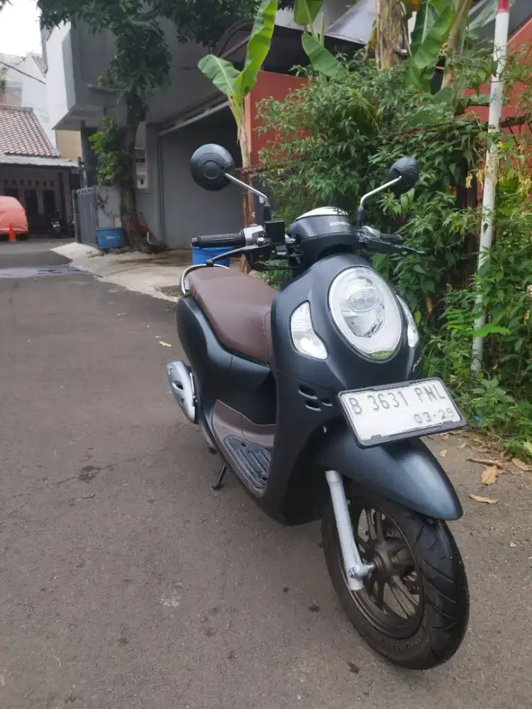 Honda Scoopy prastige 2024 bebas Tilang etle