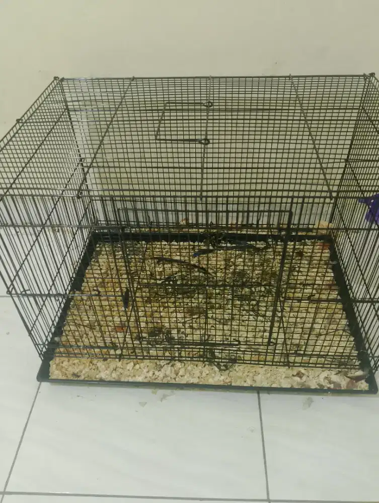 Kandang besi kotak