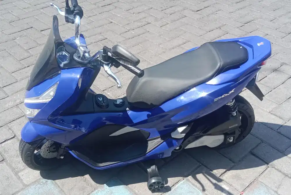 motor aki PCX type besar, naru