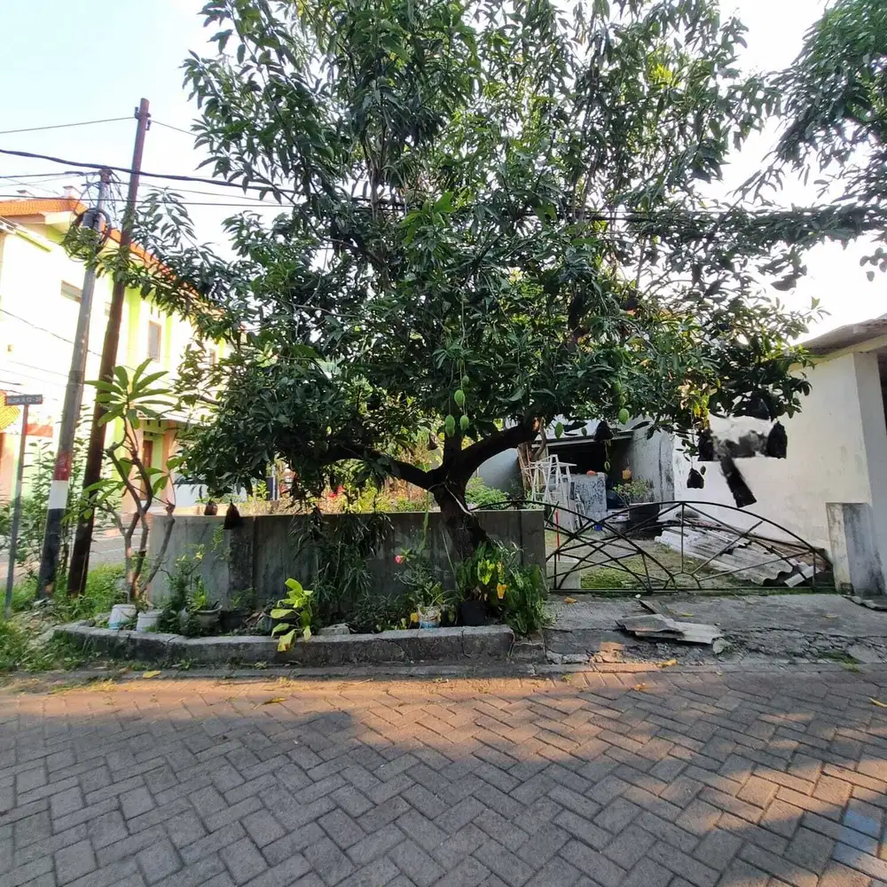 Dijual tanah kavling Wiyung Surabaya barat