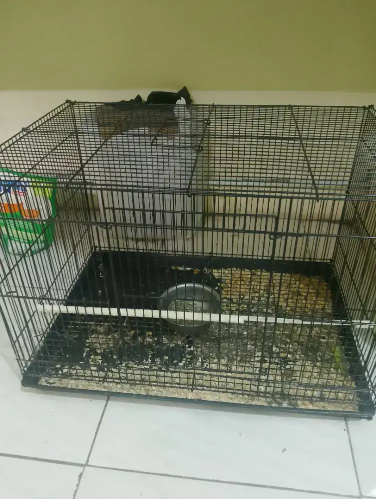 Kandang kotak besi