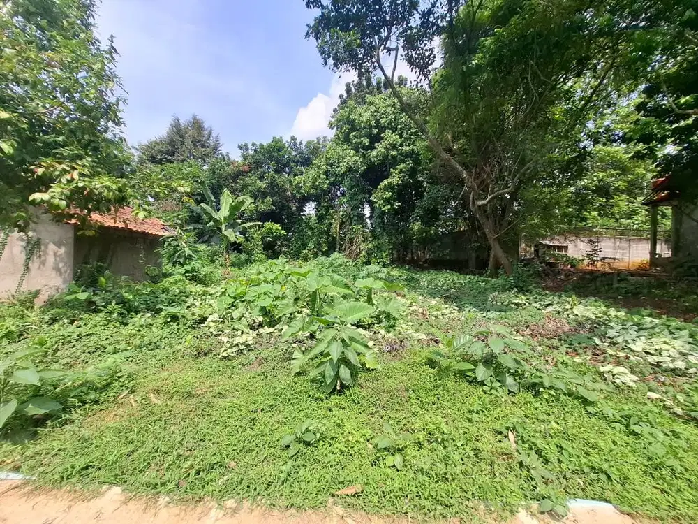 FOR SALE Tanah Kosong