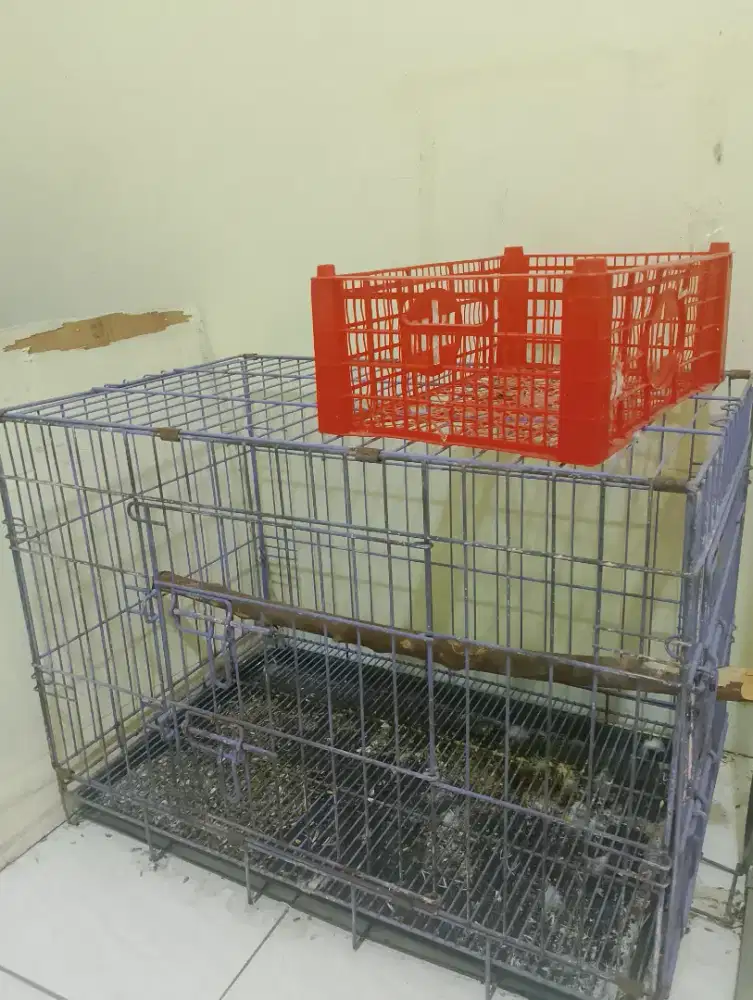 Kadang kotak besi