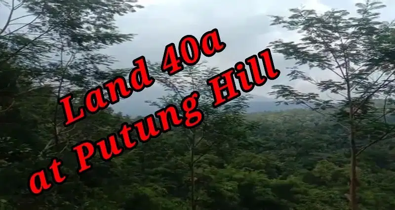 Land 40a for sale at Putung Hill Selat Duda Karangasem Bali