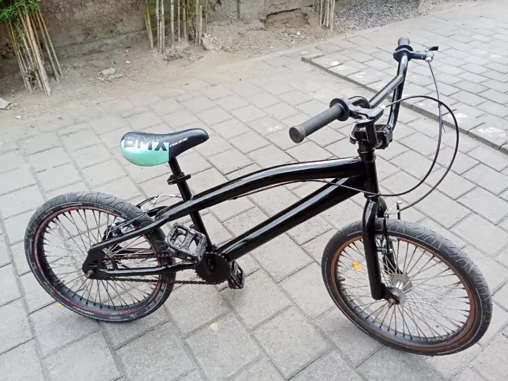 Sepeda PACIFIC R 20