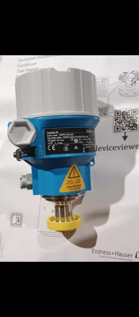 Pressure Endress+Hauser