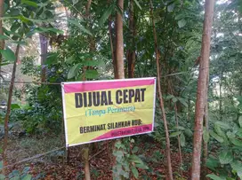 DI JUAL CEPAT TANAH DI AREA MIJEN - BSB