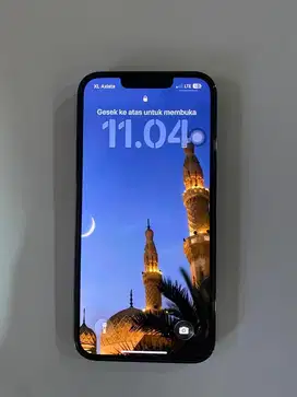 dijual iphone 13 pro green 256gb inter