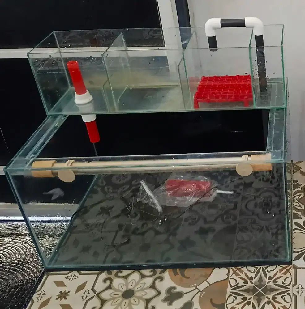 Aquarium 60x40x30