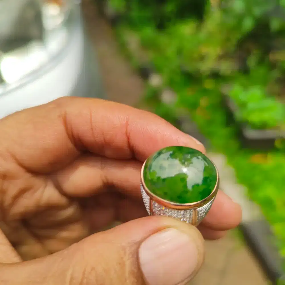 cincin lumut kumbang jati bakan bacan