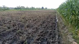 Dijual sawah di desa kertasinduyasa Jatibarang Brebes