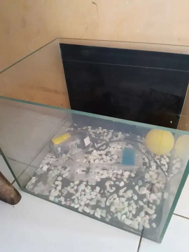 Aquarium full set siap huni ikan hias anda