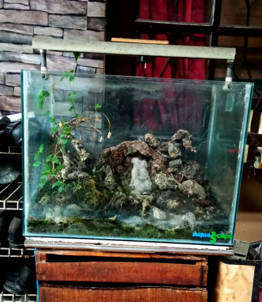 Jual aquarium aquascape