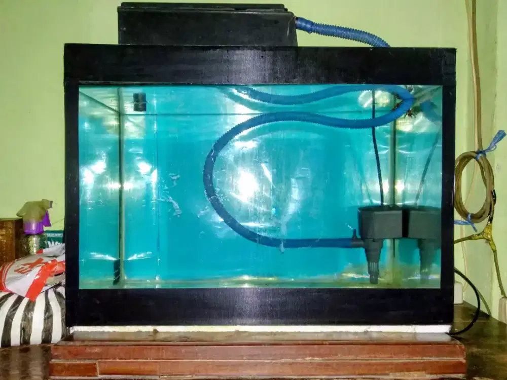 Aquarium Ikan dan Peralatan