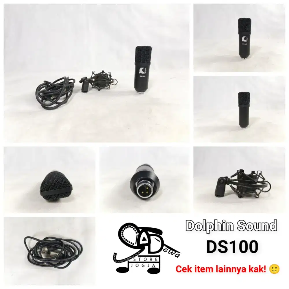 DOLPHIN SOUND DS100 MIC CONDENSER DS 100 CONDENSOR MICROPHONE