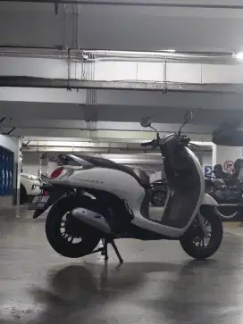 Honda scoopy bekas rasa baru